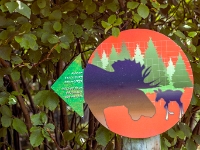 Park Narodowy Gros Morne
